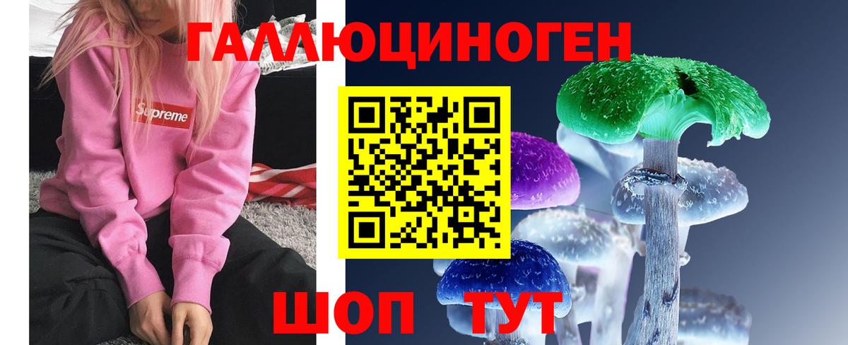 Псилоцибиновые грибы прущие грибы  Вход с VPN  Вольск  Псилоцибиновые грибы мухоморы 